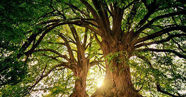 智能包裝的新發展 其具潛在機遇