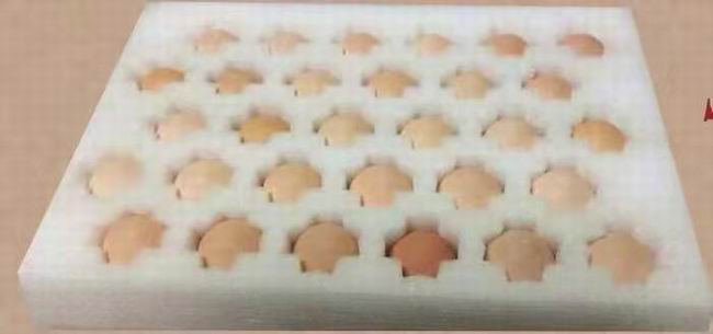 珍珠棉雞蛋托